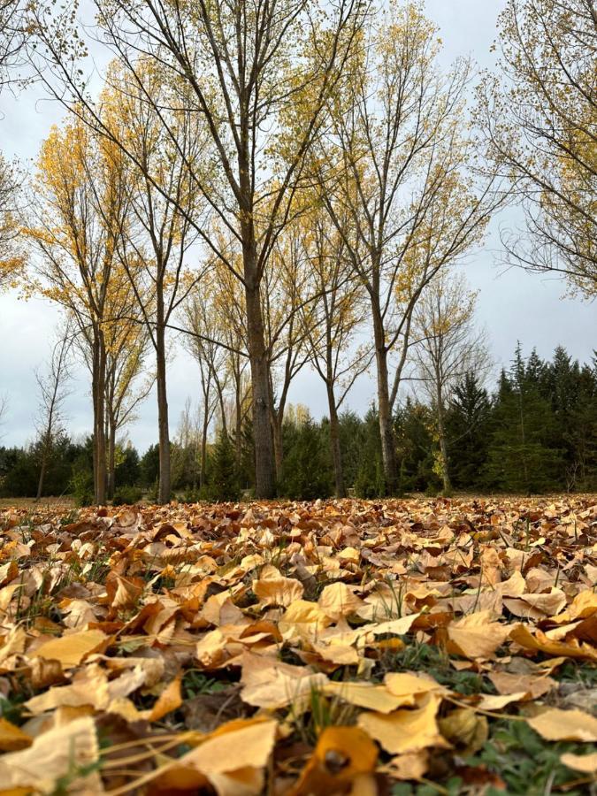 Finca Paraiso Rural Burgo de Osma Zewnętrze zdjęcie