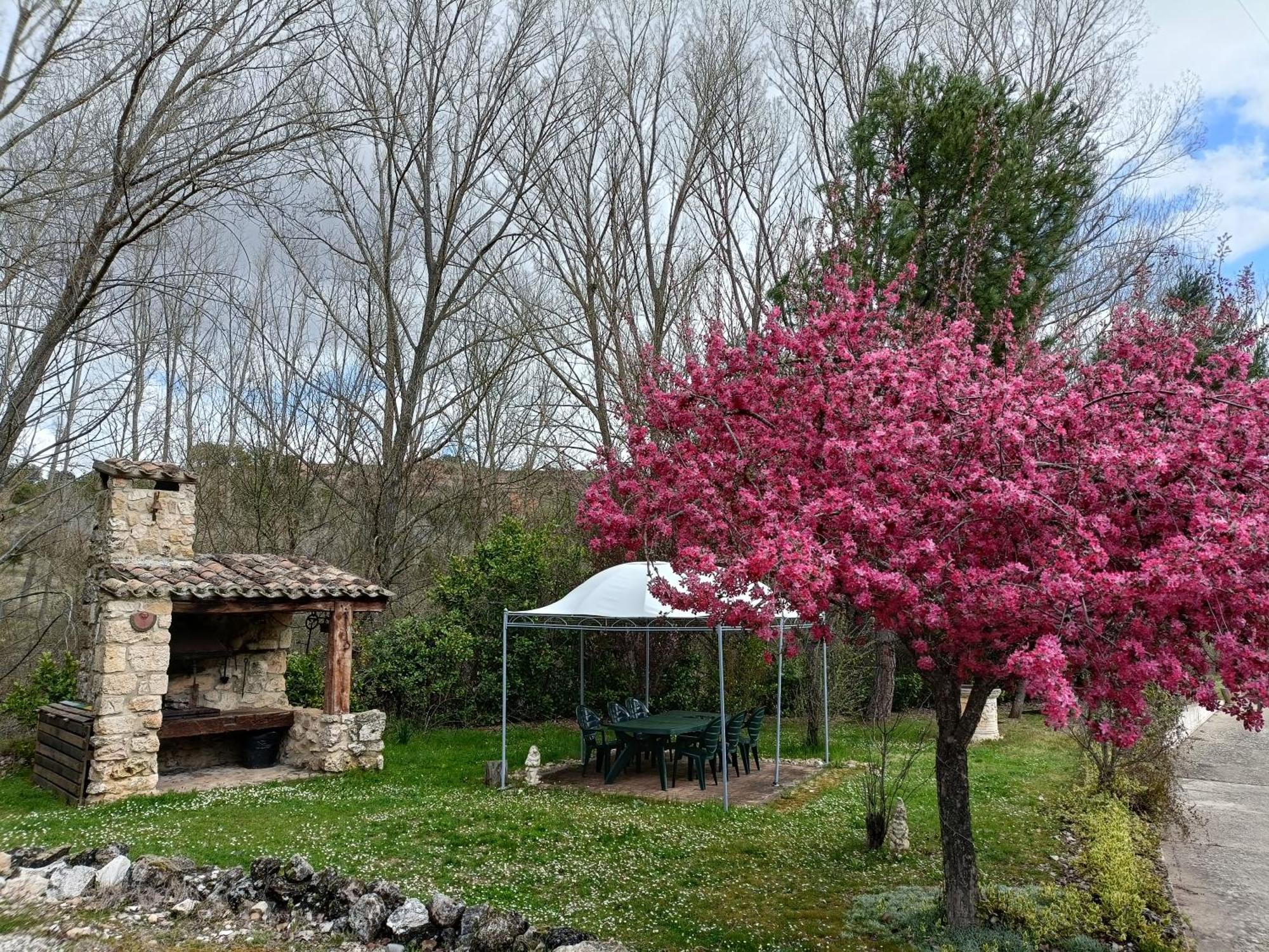 Finca Paraiso Rural Burgo de Osma Zewnętrze zdjęcie