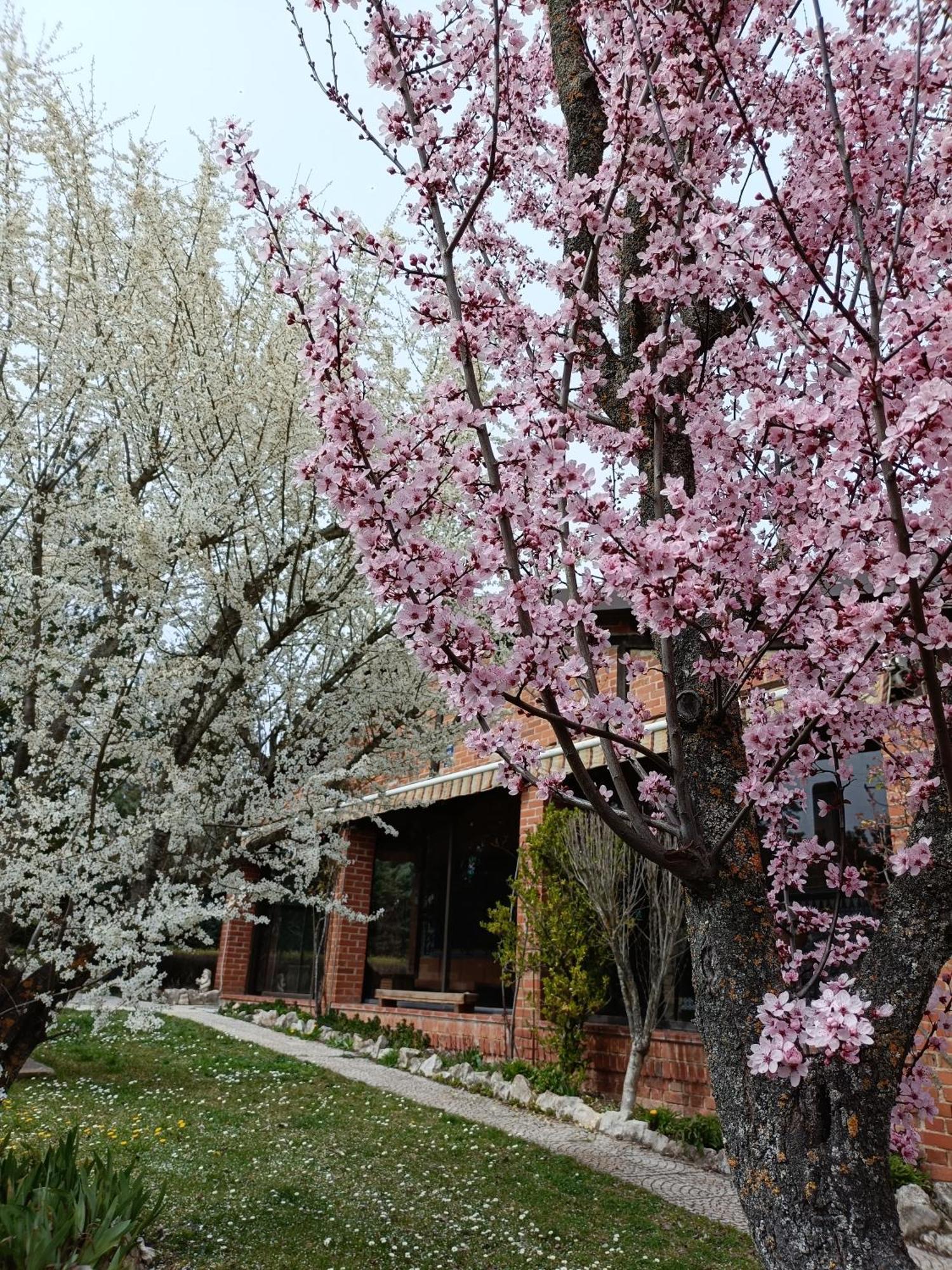 Finca Paraiso Rural Burgo de Osma Pokój zdjęcie